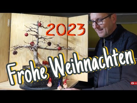 Christmas special to close out the year, Pre-Bonsai 2023/46