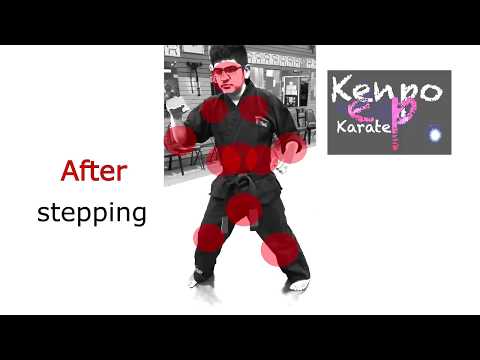 Kenpo Karate Example techniques: Defense against a kick Part #1