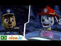PAW Patrol | Pioneiros Filhotes 🐕 | Nick Jr. PAW Patrol | Pioneiros Filhotes 🐕 | Nick Jr.