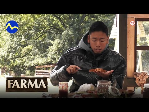 Farma 14 - už teraz na Voyo a v utorok 15. 11. 2022 o 21:50 na TV Markíza