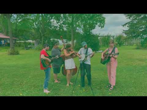 The Onlies - Waves on the Sea (Official Live Video)