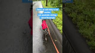 Dog Trainer’s Favorite Time to Walk Her Dogs 💦☔️