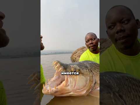 Лучше не сталкиваться с этой рыбой