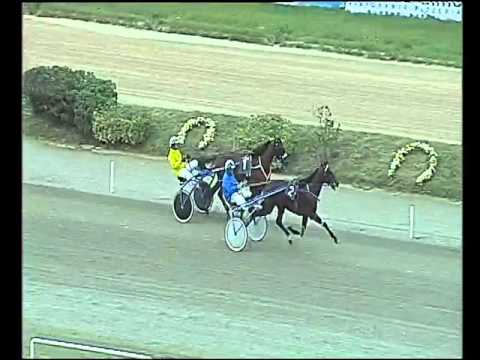 Trotto 15/10/2015 -  prova di riqualifica