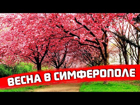 Весенний Симферополь / Просто прогулка
