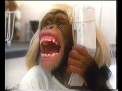 [1080p60] HRT 3, 30. prosinca 2000. - najava programa, Majmunska posla i božićni ident