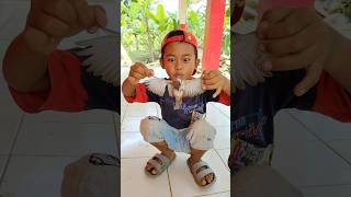 Download lagu Menemukan burung gereja mp3