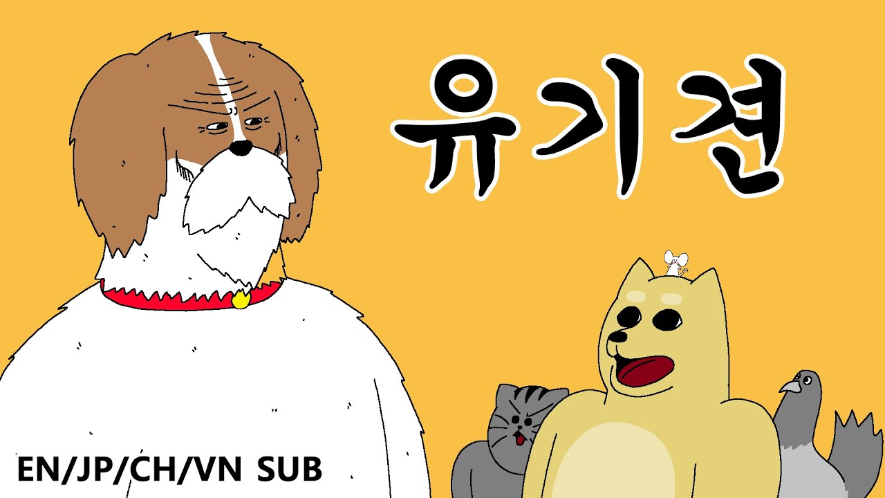 [짐승친구들] 유기견