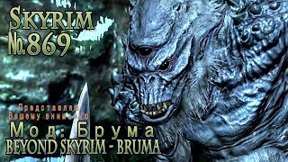 Skyrim s 869 Акавирские Сокровища?, ну да, а для кого и кобыла невеста