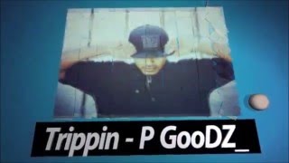 P GooDZ --- Trippin (Hip Hop)