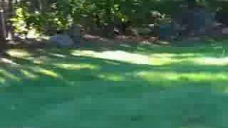 A cover of "Nancy Sings"