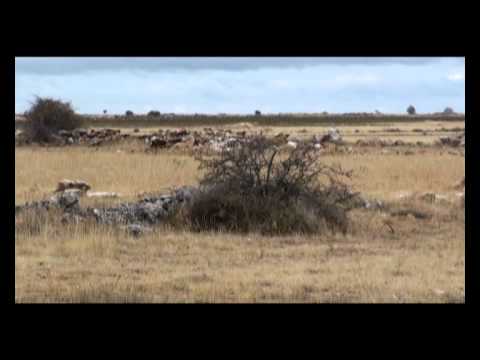 Secuencia 02_La Sequera de Haza