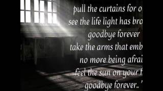 Volbeat - Goodbye Forever