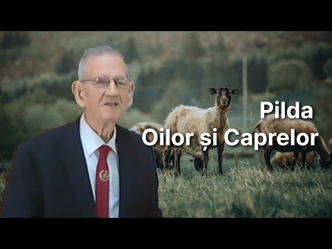 Pilda Oilor și Caprelor - George Wilmott - 18.06.2023