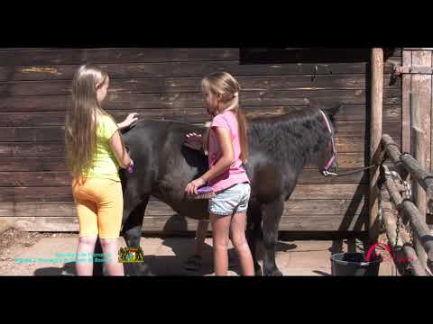 Teaser Bauernhof-Urlaub in der Fränkischen Schweiz