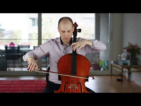 David Popper Experience #10/40 - Sebastian Diezig, cello