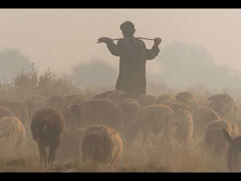 📖 J 10, 11-18 - Dobry pasterz, rozbójnicy i złodzieje - ks. Grzegorz Szczygieł MS