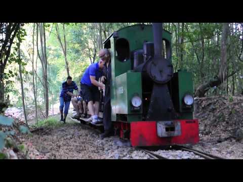 MSGB Dampflok bei unserem Jubiläumsfest Sept. 2016