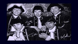 Paul Revere and The Raiders ~ Louie, Go Home (Stereo)