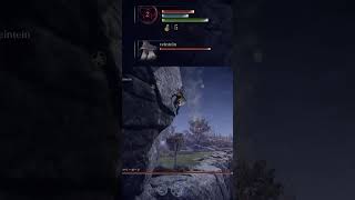 ツリーガードパイセンに瞬殺される夜渉り初心者 | #ogurlnrin (#Twitch)