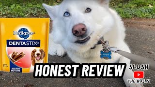 Pedigree Dentastix Review: Are They Worth It?