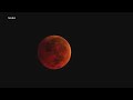 VIDEO What The Super Blue Blood Moon Means For Scientists