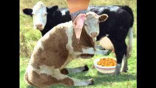 Christian Anders-Verliebt in den Lehrer