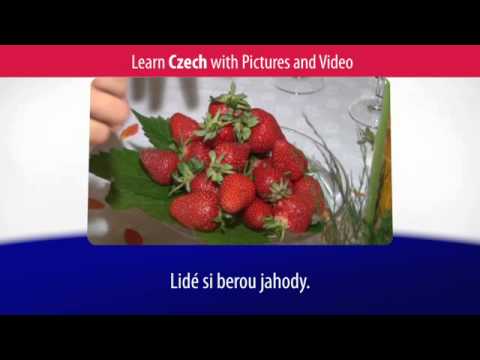 Learn Czech Vocabulary with Pictures and Video - Top 20 Czech Verbs 3
