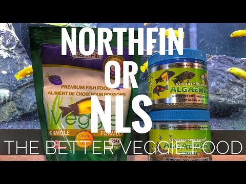 Northfin or NLS? The better veggie food