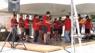 preview picture of video 'N.A. Fiddlers at the Harmony, Pa Bluegrass Festival'