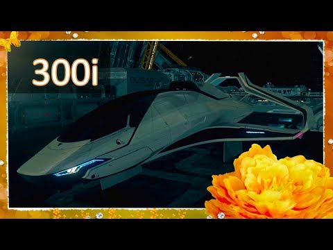 3.5.0g PTU New 300i - Slick bird