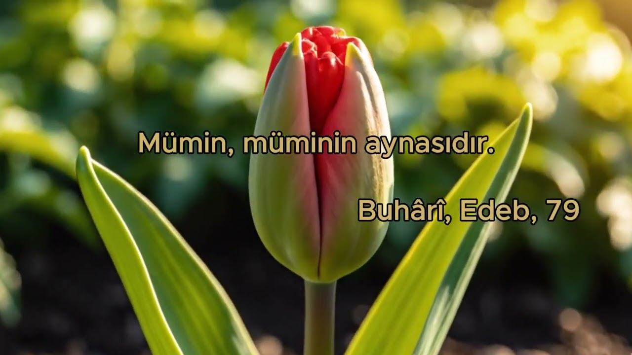 Kardeşine Bak, Kendini Gör! ✨🪞 #hadis