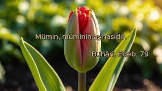 Kardeşine Bak, Kendini Gör! ✨🪞 #hadis