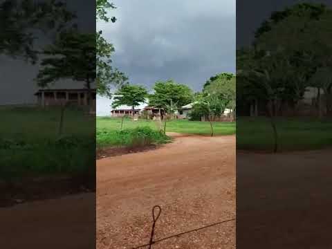 Atenção Tempestade se formando em Francisco Alves PR neste momento.⛈️⚡⚠️
