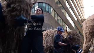 40 bison puppets march through Manhattan in Indigenous history tribute