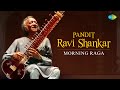 Pandit Ravi Shankar - Morning Raga | Positive Mood & New Energy  | Indian Classical Sitar Music
