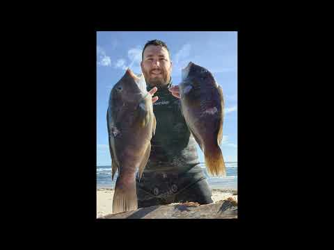 flying a helicopter 50km offshore to catch lobster and spearfish in Australia
