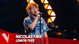 Fools Garden –  &#39;Lemon Tree&#39; ● Nicolas Fais | Blinds | The Voice Belgique Saison 10