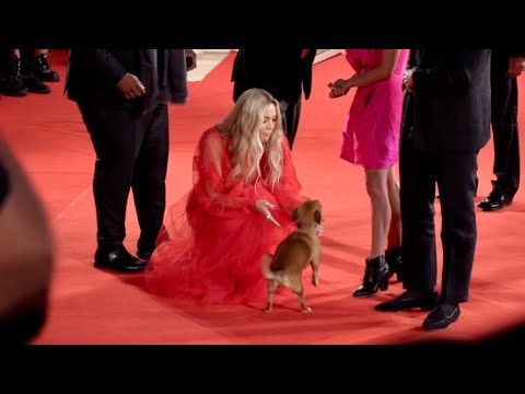 Craig Robinson, Kate Hudson and more on the red carpet at the Venice Film Festival