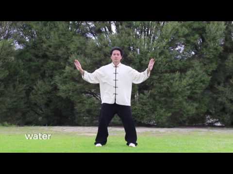 Five Element Qigong Wu Xing Qigong