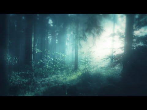 Windswept Realms - Volume I | Ambient Fantasy Soundscape [One Hour Original]