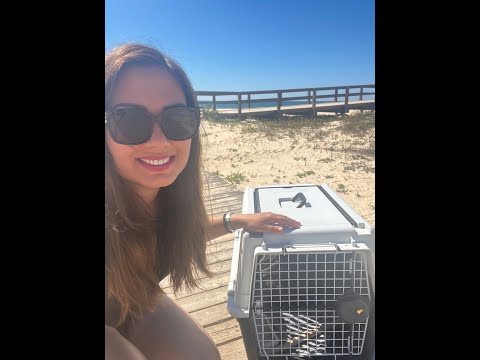 Airport Pet Service and Reduced Mobility Service