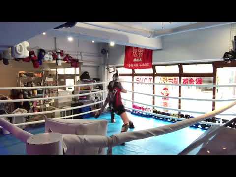 MMAスパーリング🇯🇵ko-1