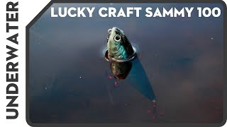 Воблеры lucky craft sammy 128