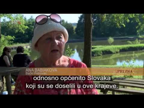 IX. manifestacija Slovaci Slovacima i V. kolonija slikara, Rajsavac 2016.