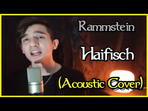 Rammstein - Haifisch (Acoustic Cover by Talles Cattarin)