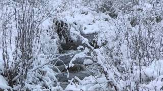 Iarna in Cheile Tureniului ...26.01.2014