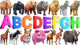 Learn ABC Alphabets A to Z for Kids Children - Learn Wild Animals Names & Sounds Nursery Rhymes