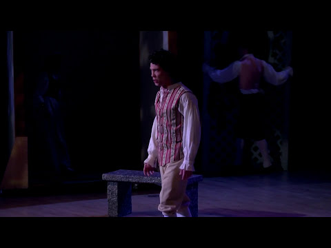 Attila Dobak  - Aprite un po' quel'occhi (Mozart: Le nozze di Figaro)