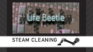 Steam Cleaning - Life Beetle